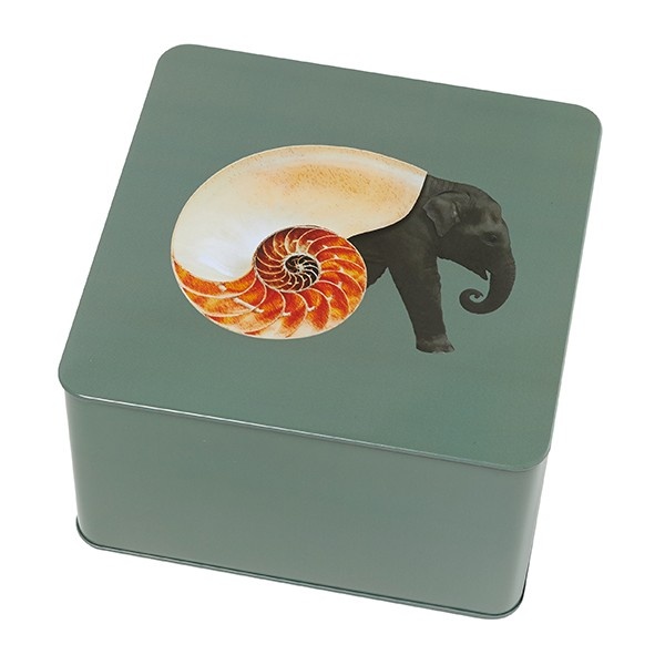 Τετράγωνο Τσίγκινο Κουτί Shellephant 17,7 cm