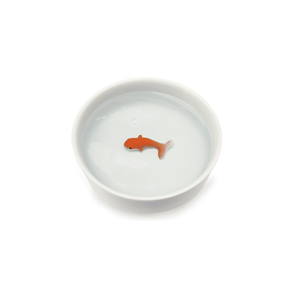Goldfish Pet Bowl - 2