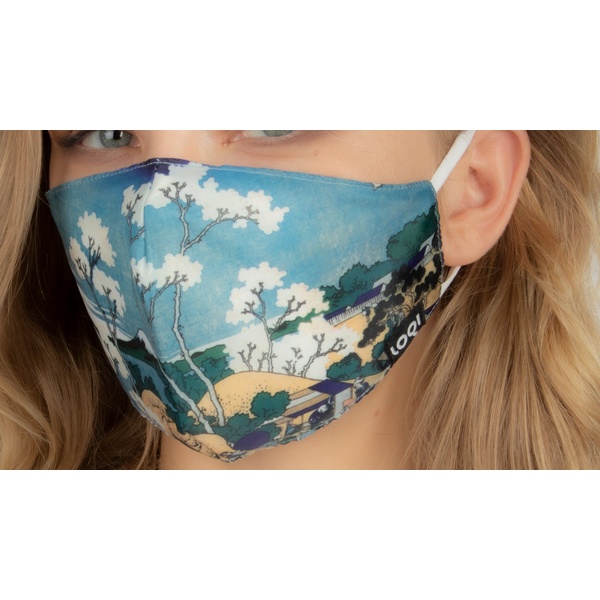 Προστατευτική Μάσκα | Katsushika Hokusai - Fuji from Gotenyama - 1