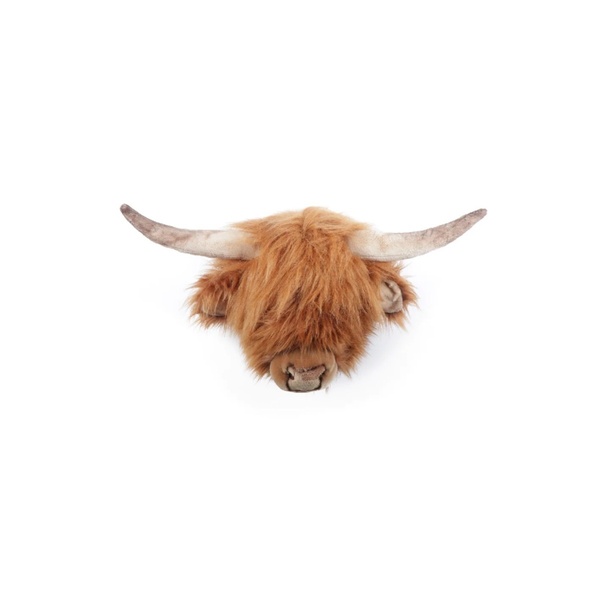 Head Highland Cow Nicolas Head Highland Cow Nicolas