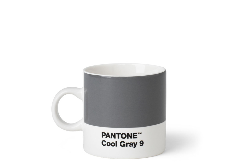 Pantone Espresso Cup Cool Grey