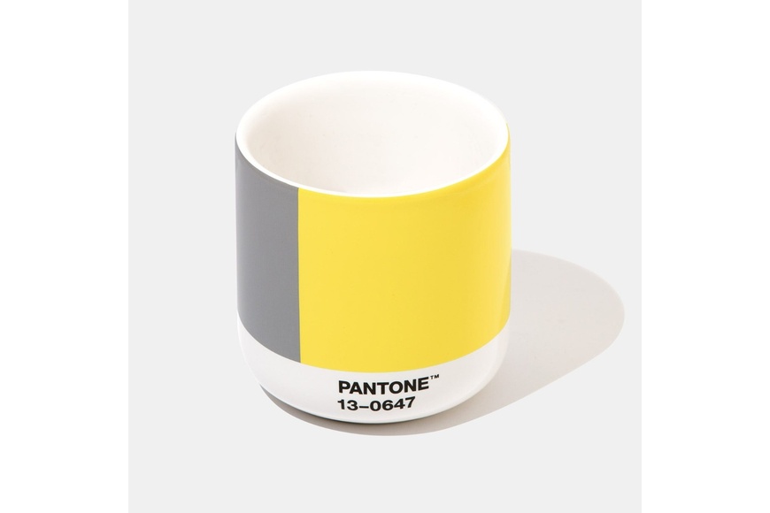 Pantone Thermo Cup - COY21 (gift box)