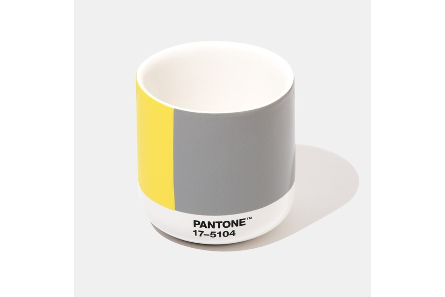 Pantone Thermo Cup - COY21 (gift box) - 1
