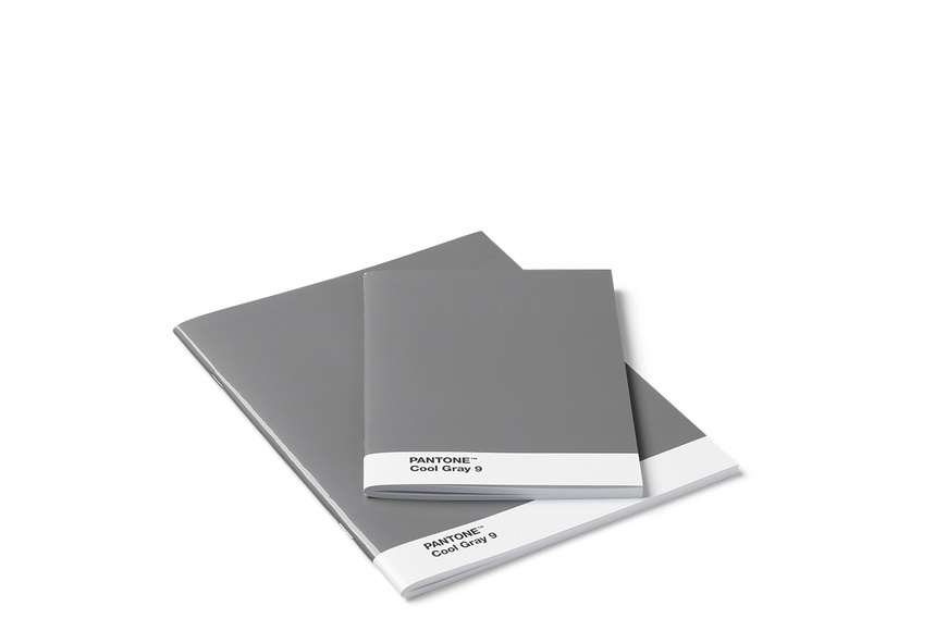 Pantone Σετ 2 Τετραδίων - Γκρι Pantone Σετ 2 Τετραδίων - Γκρι