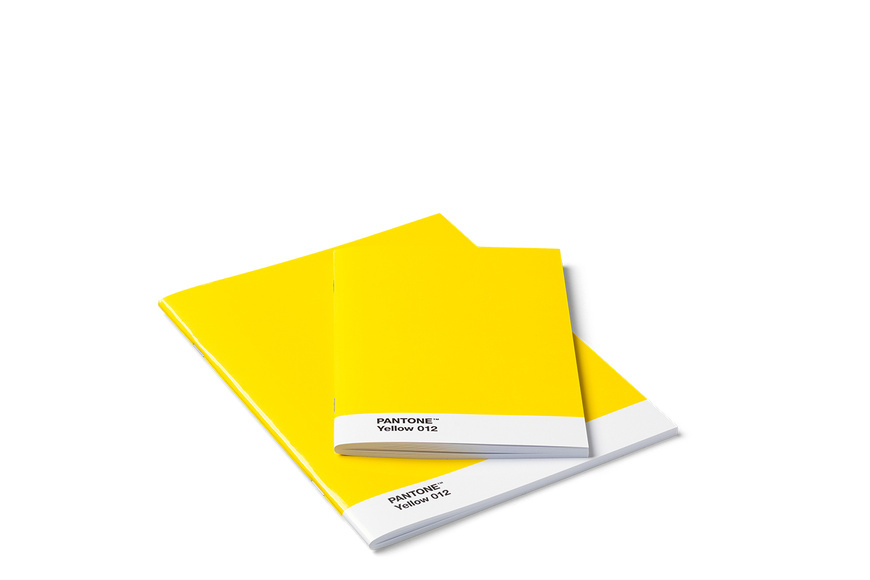 Pantone Booklets Yellow (Set of 2)