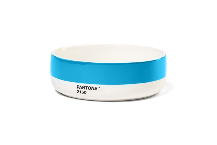 Pantone Bowl - Blue