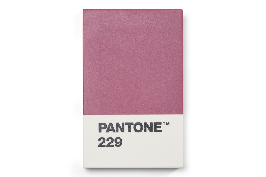 Pantone Card Holder Aubergine