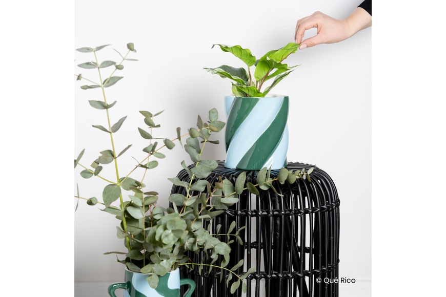 PLANT POT CAMILO - AMOR DEL COLOR - BLUE/GREEN - 4 PLANT POT CAMILO - AMOR DEL COLOR - BLUE/GREEN - 4