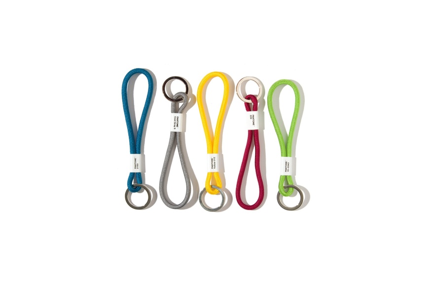 Pantone Key Chain Short Cool Gray