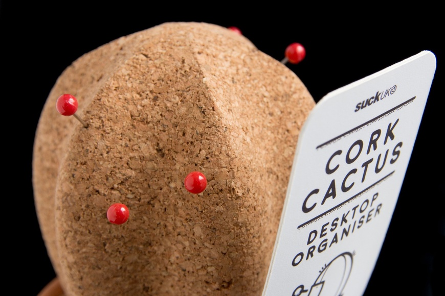 Cork Cactus - 1