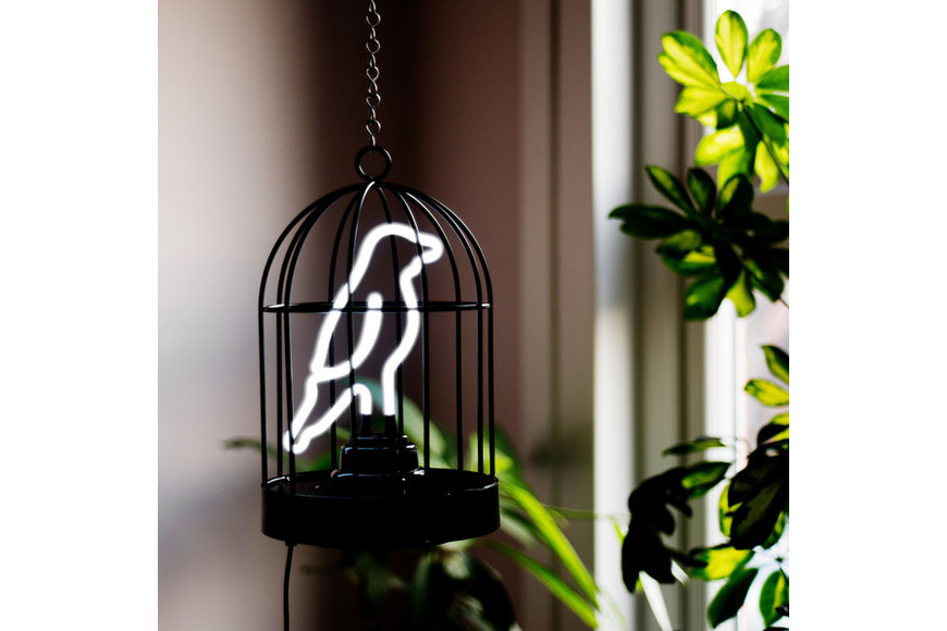 Neon Light Bird in a Cage - 2