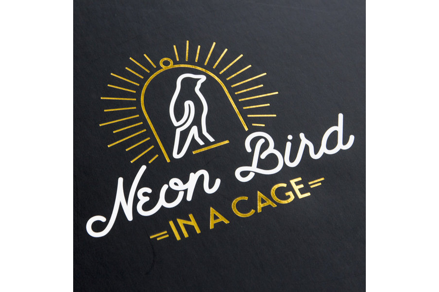 Neon Light Bird in a Cage - 4