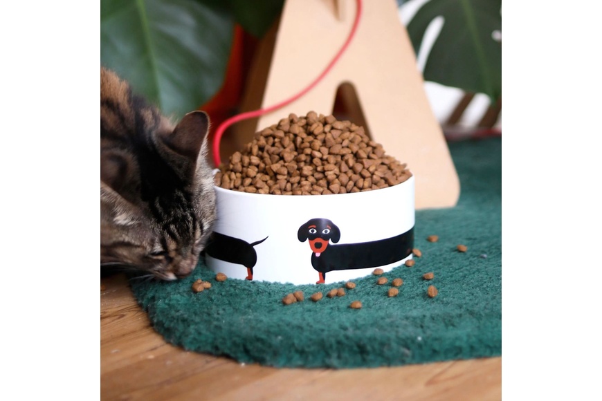 Dog - Bowl - 2 Dog - Bowl - 2