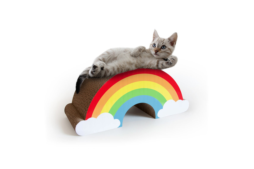 Cat Scratch Rainbow