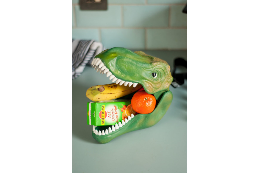 Dinosaur Lunch Box - 1 Dinosaur Lunch Box - 1