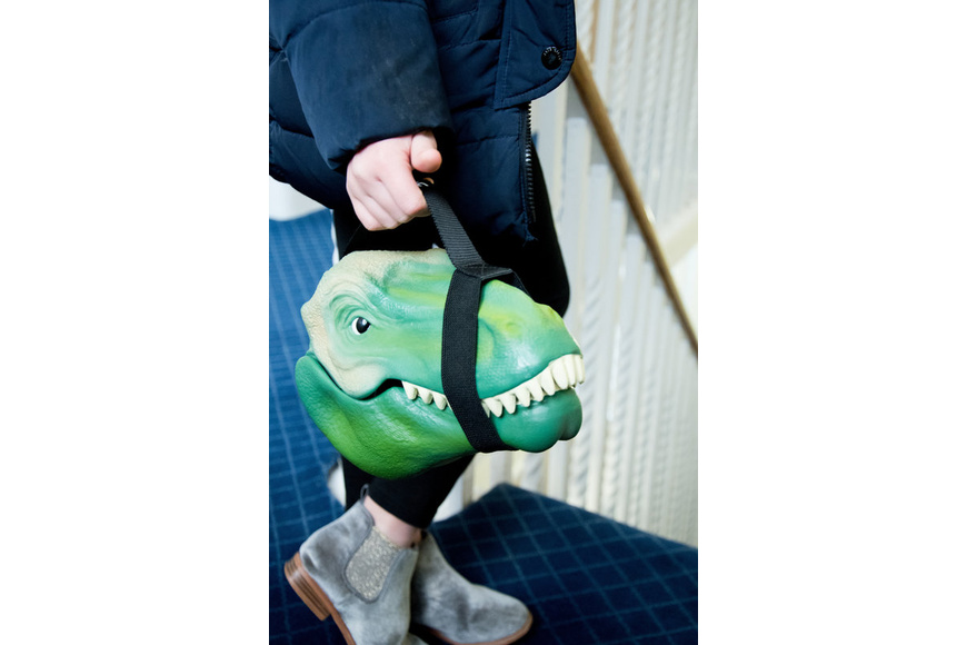 Dinosaur Lunch Box - 2 Dinosaur Lunch Box - 2