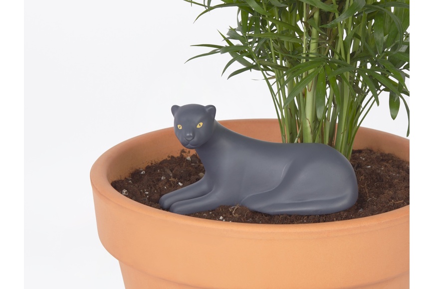 Self-Watering System - Panther - 1