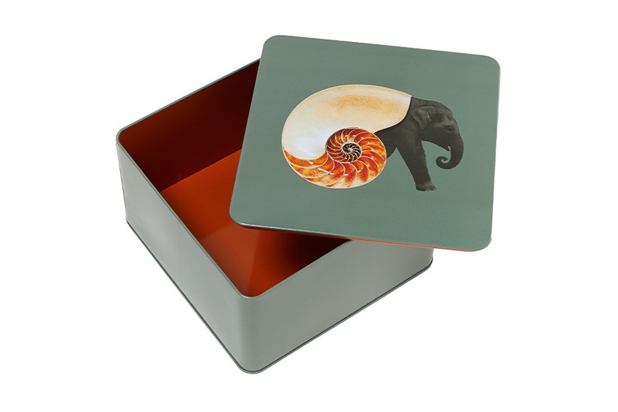 Square Tin Box Shellephant 17,7 cm - 1