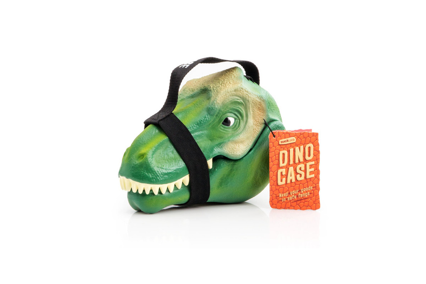 Dinosaur Lunch Box Dinosaur Lunch Box