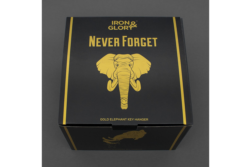 Iron & Glory Gold Elephant Key Hanger 13 cm x 14 cm x 10 cm - Never Forget Iron & Glory Gold Elephant Key Hanger 13 cm x 14 cm x 10 cm - Never Forget