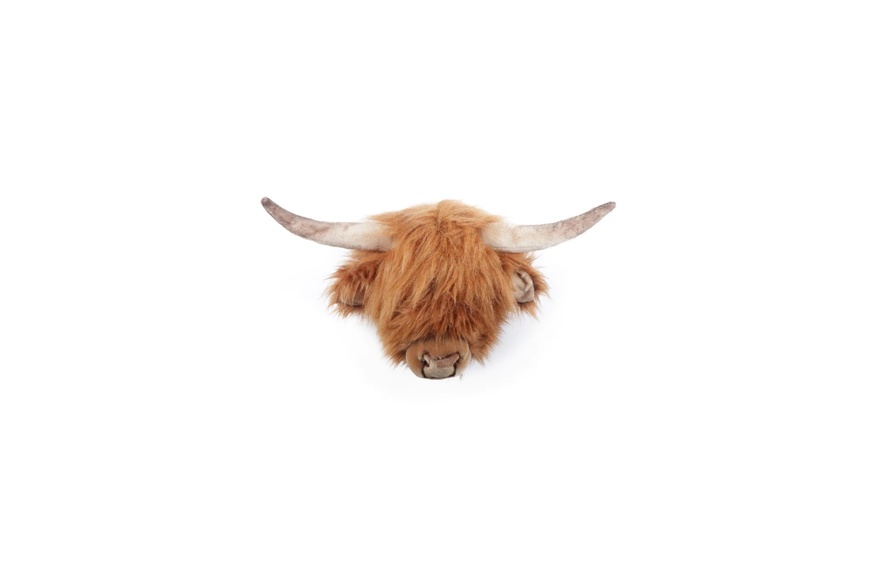 Head Highland Cow Nicolas Head Highland Cow Nicolas